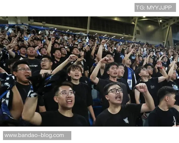 激情四溢的足球赛场上加油助威的精彩瞬间画卷