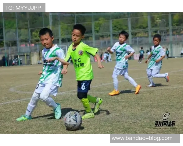 深圳龙华足球崛起之路探索青训发展与职业联赛的完美结合