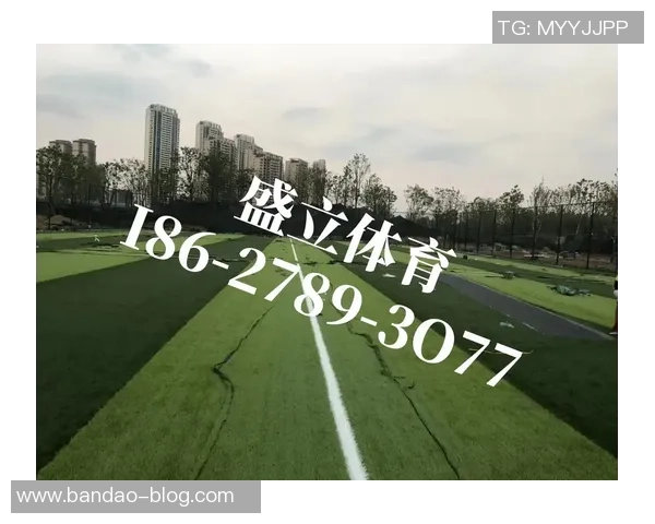 足球场天然草坪造价分析及影响因素探讨与预算建议